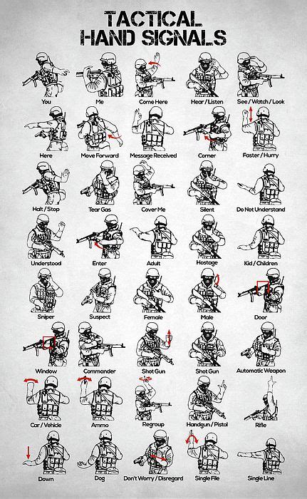 Tactical Hand Signals Swat Hand Signals Visual Signals Combat