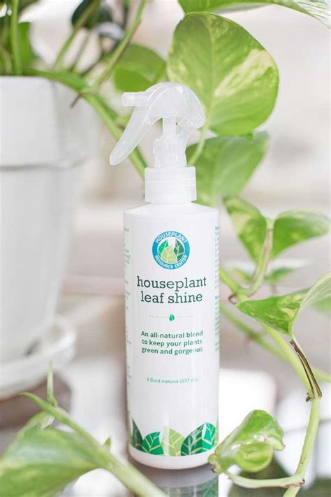 Houseplant Leaf Shine Spray - Monstera Plant Resource