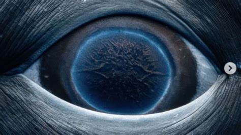 Galaxies In Her Eyes Renowned Photographer Captures Stunning Close