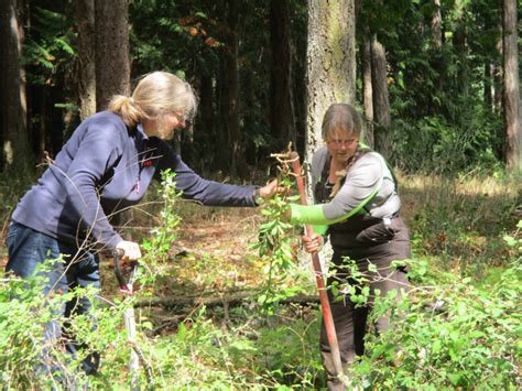 north-saanich-parks-ecosystem-restoration-society | CharityProfile ...