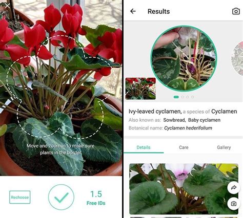 10 Best Free Plant Identification Apps For IOS Android 2023