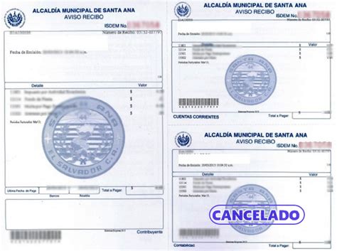 Guía completa para obtener el certificado de solvencia municipal en