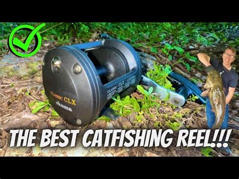 The BEST MOST AFFORDABLE CATFISHING REEL Okuma Classic CLX 300 La