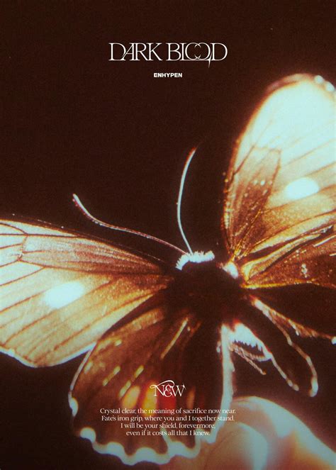 230509 Enhypen Dark Blood Concept Moodboard New Ver Renhypen