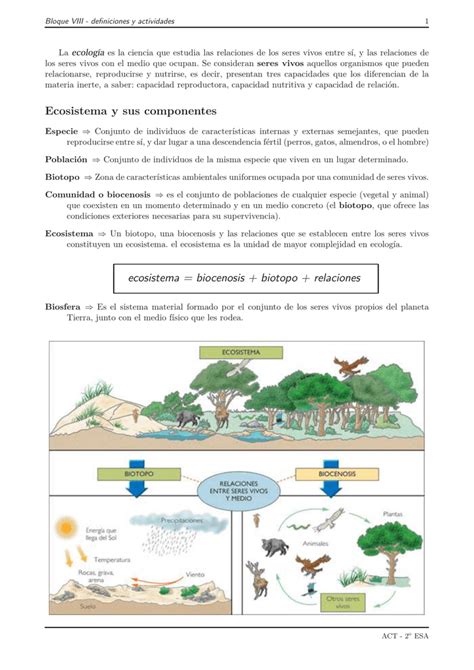 Actividades Sobre Ecosistemas