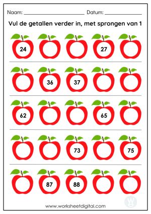 Rekenen Groep Worksheet Digital