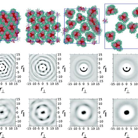 Top Row Simulation Snapshots For Model 2 With Water Molecules Not