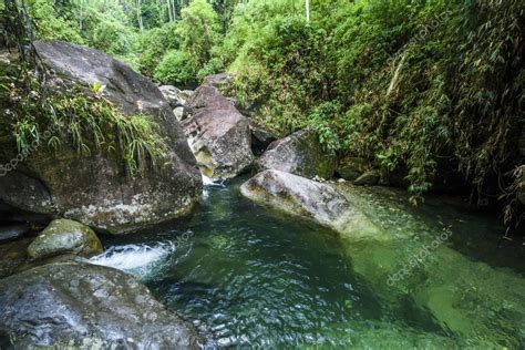 Serrinha Do Alambari Rea De Protecci N Ambiental