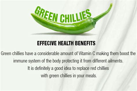 Top 15 Benefits Of Green Chilli