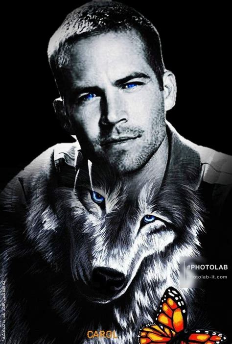 Actor Paul Walker Rip Paul Walker Facebook Business Account Paul