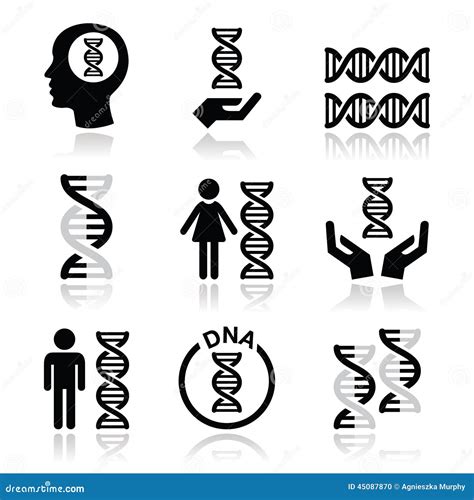 Human Dna Genetics Icons Set Stock Illustration Illustration Of Life Biological 45087870