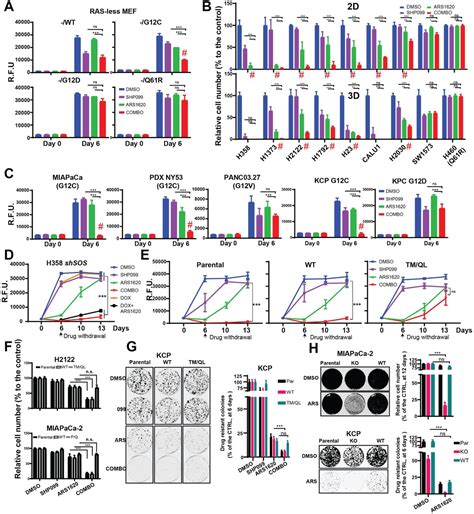 SHP2 Inhibition Abrogates Adaptive Resistance To KRASG12C Inhibition