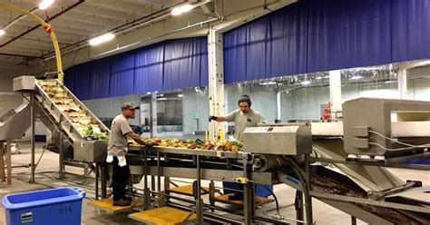 New Manufacturing Business Ideas With Medium Investment Scribd India