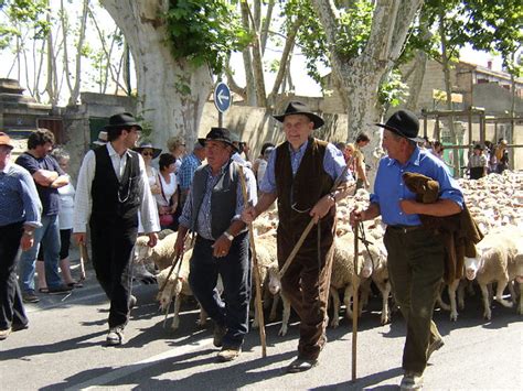 Transhumance 3 Transhumance à Saint Rémy de Provence Les Flickr