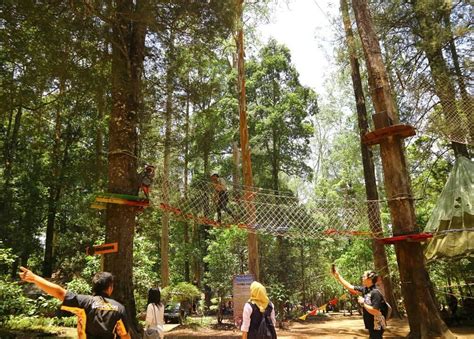 Wahana Dan Harga Tiket Mojosemi Forest Park Magetan Suguhan Wisata