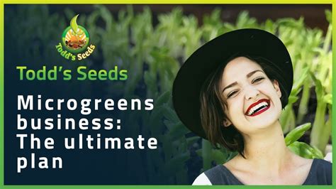 Microgreens Business The Ultimate Plan YouTube