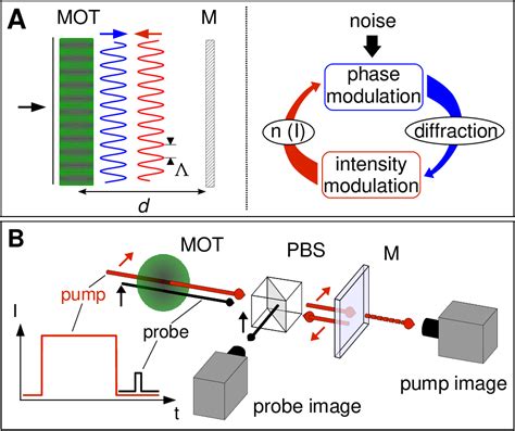 Figure From Optomechanical Self Structuring In Cold Atomic Gases