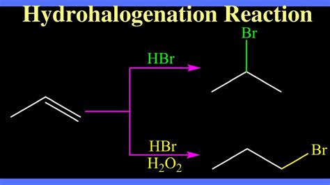 Hydrohalogenation Reaction of Alkenes - YouTube