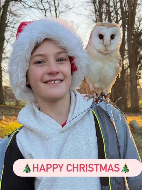 Hampshire Hawk Walks | Alton