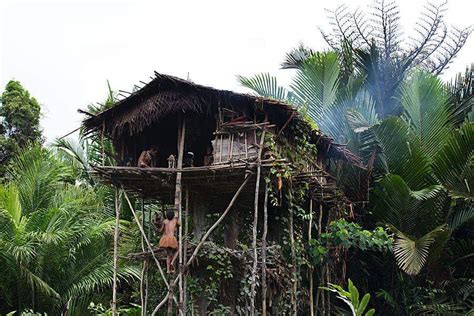 About Korowai tribe tree houses in Papua New Guinea and Indonesia ...