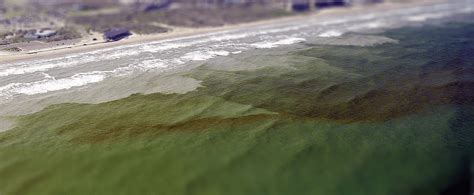 Red Tides And Other Harmful Algal Blooms Understanding Habs In The