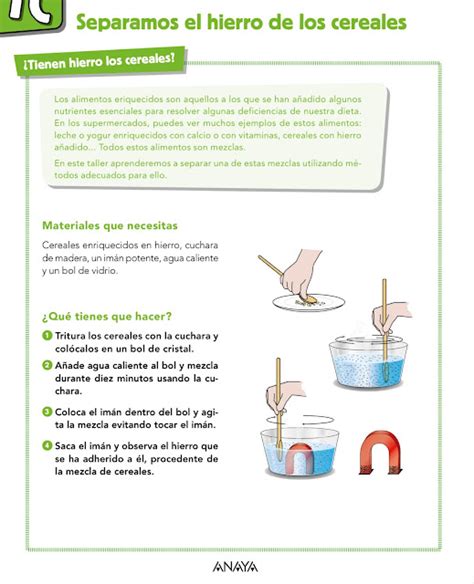 Blog De Sexto B Cia Mar A Sanl Car Ciencias Naturales Experimento T