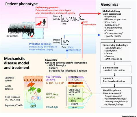 Clinical Genomics Integrates Diagnostic And Therapeutic Pathways In