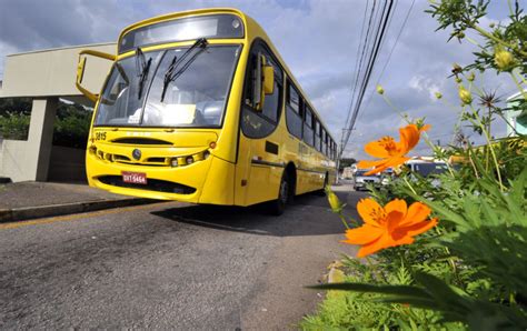 Linha de ônibus da Vila Aparecida vai ter mudança no itinerário Notícias