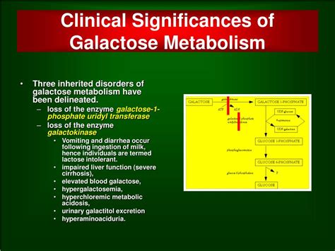 Ppt Galactose Powerpoint Presentation Free Download Id 6993463