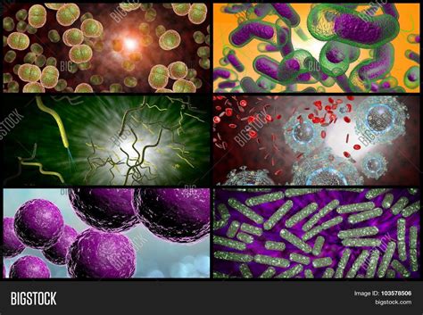 3d Microscope Close Image And Photo Free Trial Bigstock