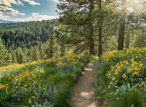 Find Peace and Quiet at These Beautiful Hiking Trails Near Wenatchee ...