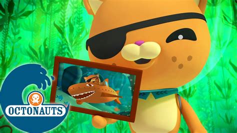 Octonauts La forêt de varech géant Dessins animés pour enfants