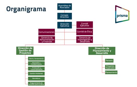 Organización Prisma ONG