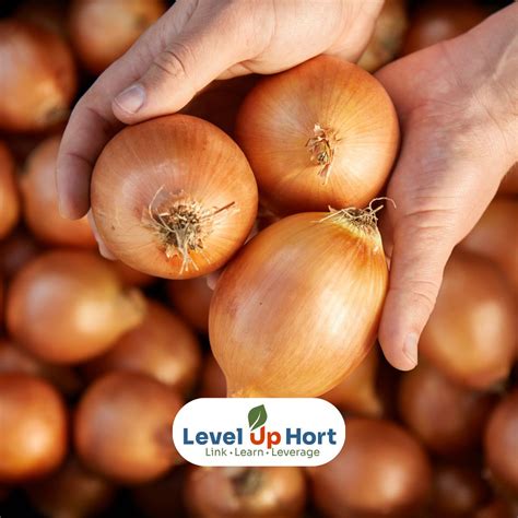 Planfarm On Linkedin Level Up Hort Aims To Take Your Business To The