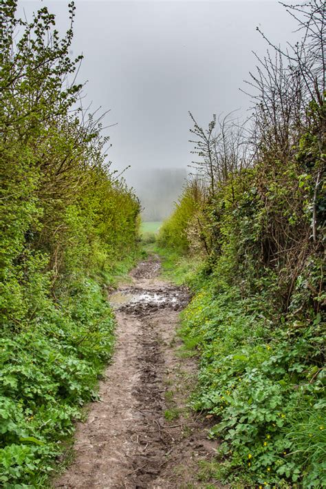 Green Lane Ian Capper Geograph Britain And Ireland