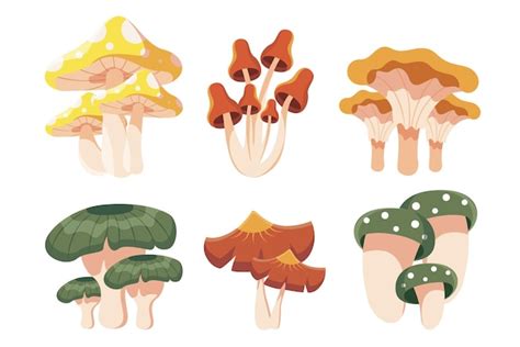 Colorful Mushroom Clipart Free