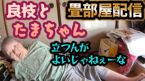 【関慎吾】良枝 畳部屋配信 たまちゃんと良枝の昼下がり 20231011 Youtube