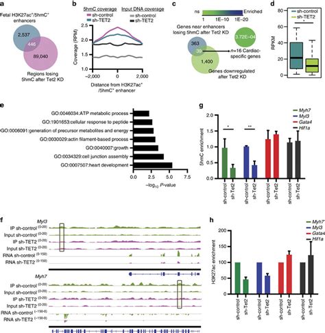 Hmc Enriched Enhancers Affected By Kd Of Tet Enzyme A Venn