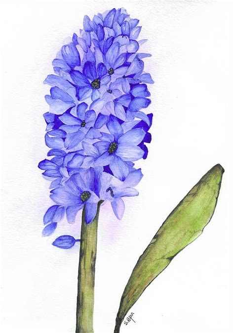 Hyacinth Painting