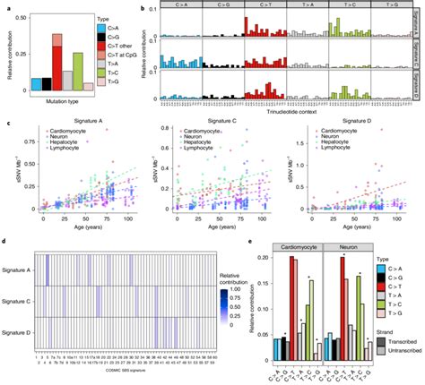 Signature Analysis Of Ssnv Reveals Mutational Processes In