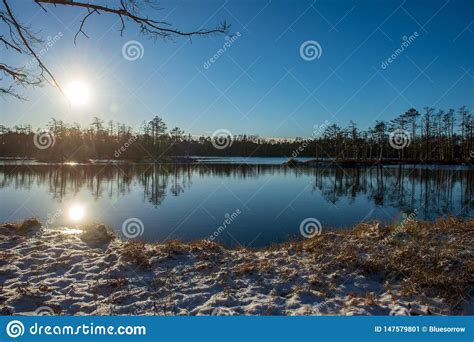 Reflexiones De Los Rboles De La Orilla En El Agua Tranquila De Un Lago