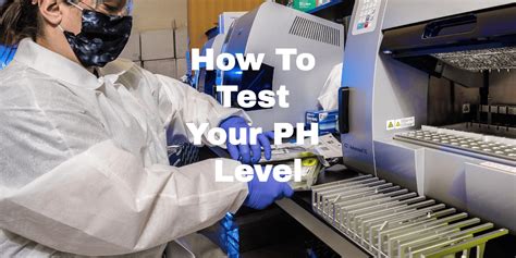 How To Test The Ph In Your Body Stayonthecourtcom