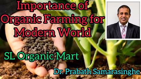 What Is An Organic Farming And The Importance In Modern Sri Lanka Youtube