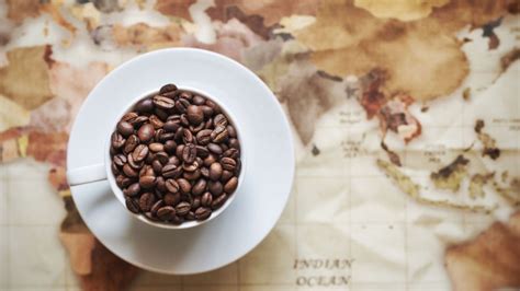 The Best Coffee Growing Regions in The World – Coffeeza