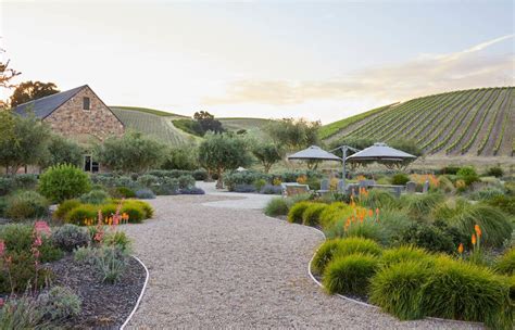 Niner Winery Landscape Design Construction Artofit