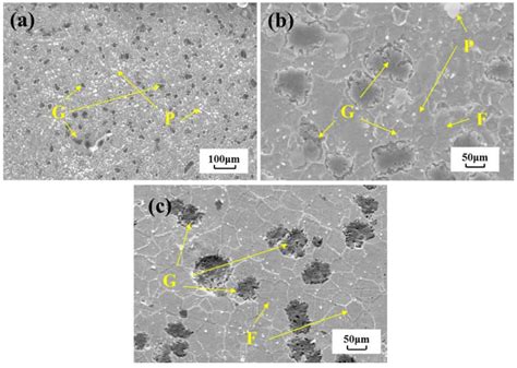 Graphite Transformation In Laser Modified Layer Of Gray Cast Iron Zhy Casting