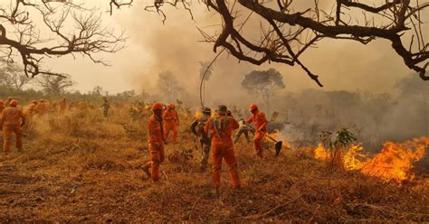 Los Incendios Forestales Ya Arrasaron Con Millones De Hect Reas En