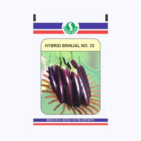 Buy Sungro No Brinjal Seeds For High Yielding Purple Brinjals