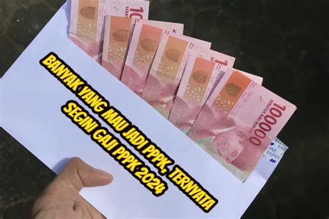 Banyak Yang Mau Jadi Pppk Ternyata Segini Gaji Dan Tunjangan Yang Akan