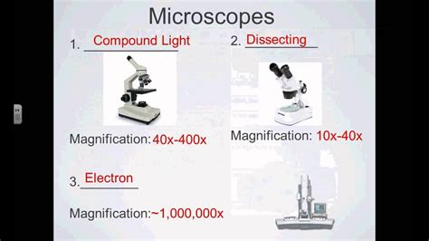 🎉 Different types of microscopes. Microscope Types. 2019-01-19